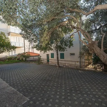 Cesljar Makarska